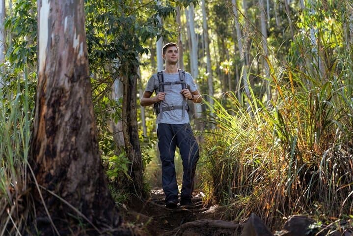 Knuckles and Wasgamuwa trail from Colombo