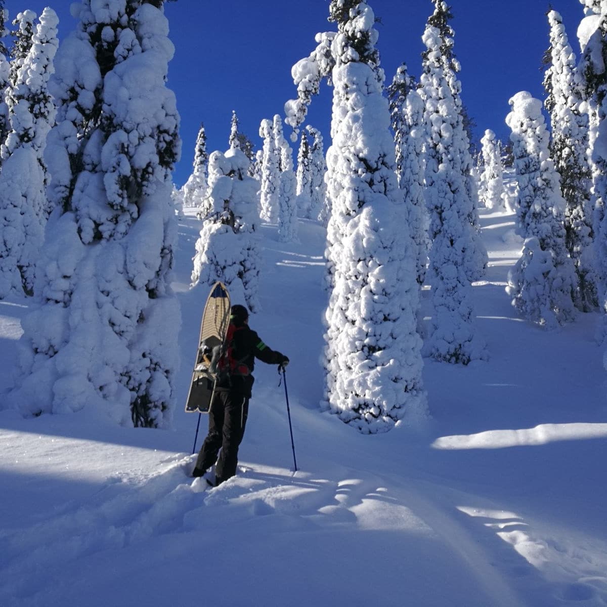 Feel the nature of an Arctic Mountain
