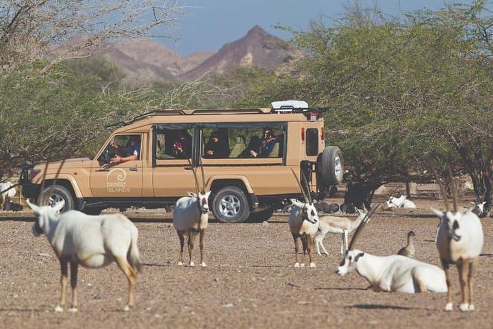 Nature and Wildlife Drive with Lunch- Must do Experience