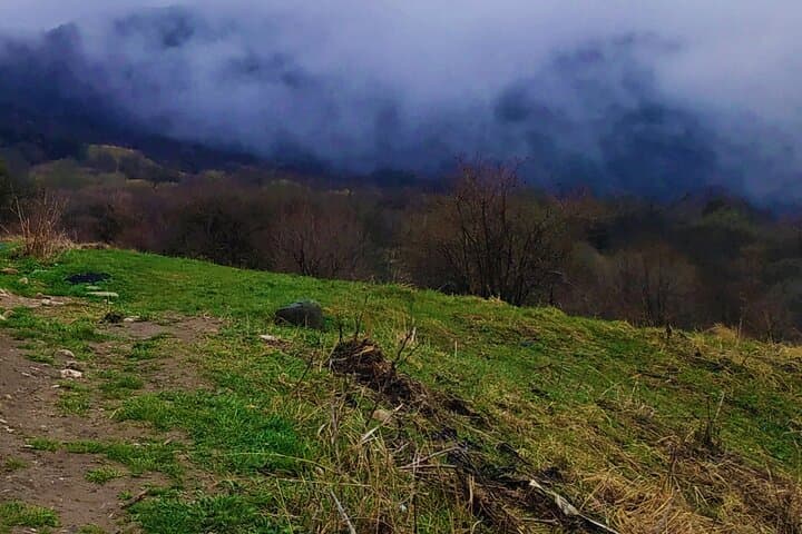Telavi Tour from Tbilisi with Tsinandali, Gombori, Alaverdi and Ikalto