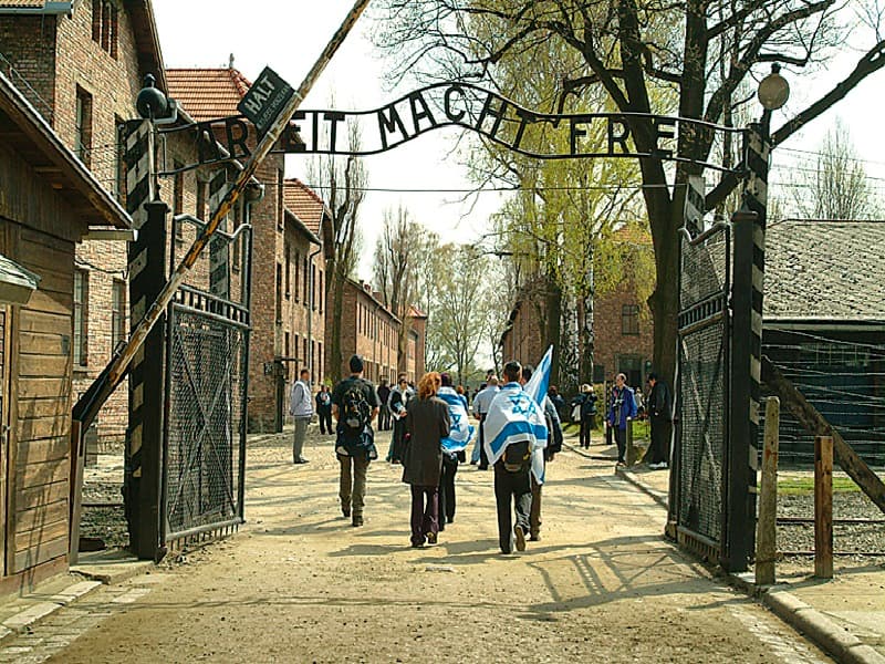 Auschwitz-Birkenau Museum and Memorial Guided Tour from Krakow