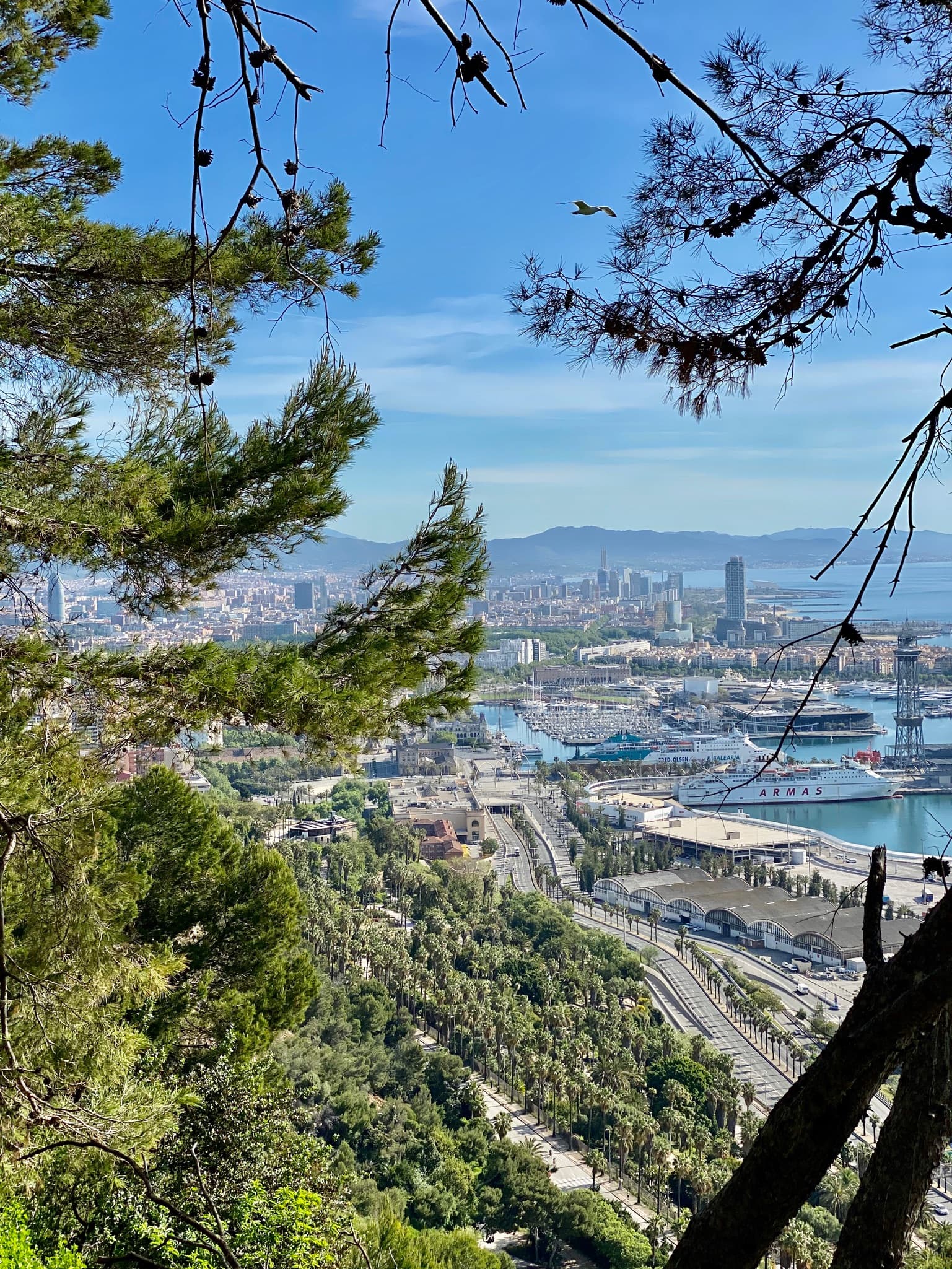 Barcelona Panoramic Walking Tour - Discover Montjuic on a private tour