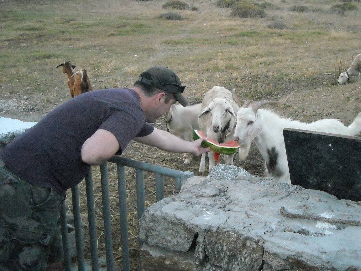 Visit the Farm - Enjoy Animals and Nature in Mykonos
