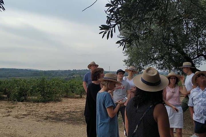 Private Wine & Cava Tasting Tour In Penedés Region with Hotel Pick Up