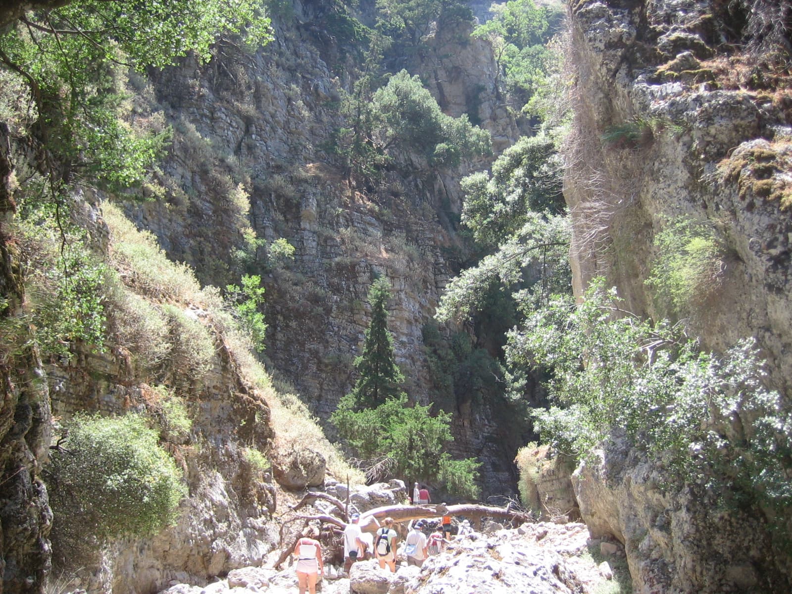 Imbros Gorge – from Rethimnon