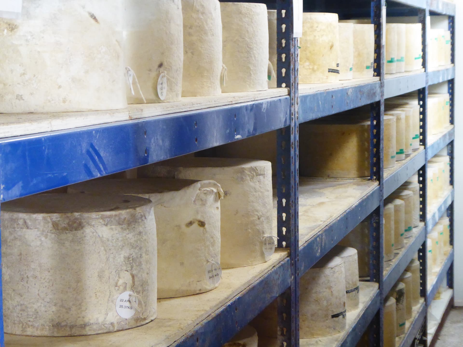 Wells, Cheddar Cheese and Cheddar Gorge Tour