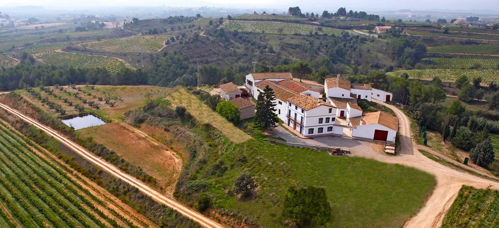 Viticulture and Wine-Tasting 3-Hour Trip from Barcelona