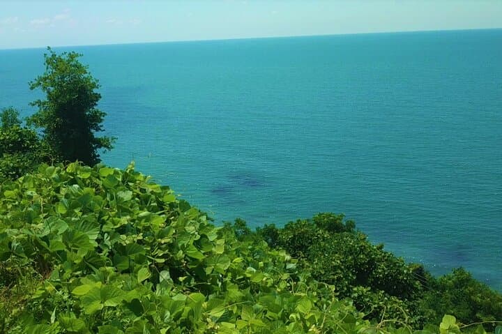 Discover Batumi: Boulevard, Argo & Dendrological Park