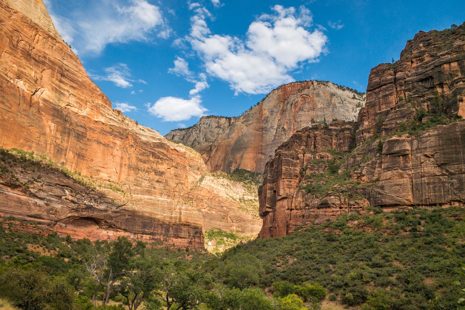 Zion Canyon National Park Private Day Tour up to 5pax
