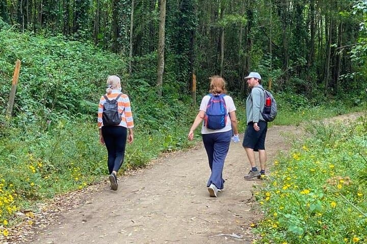 Hiking in Sintra-Cascais Natural Park