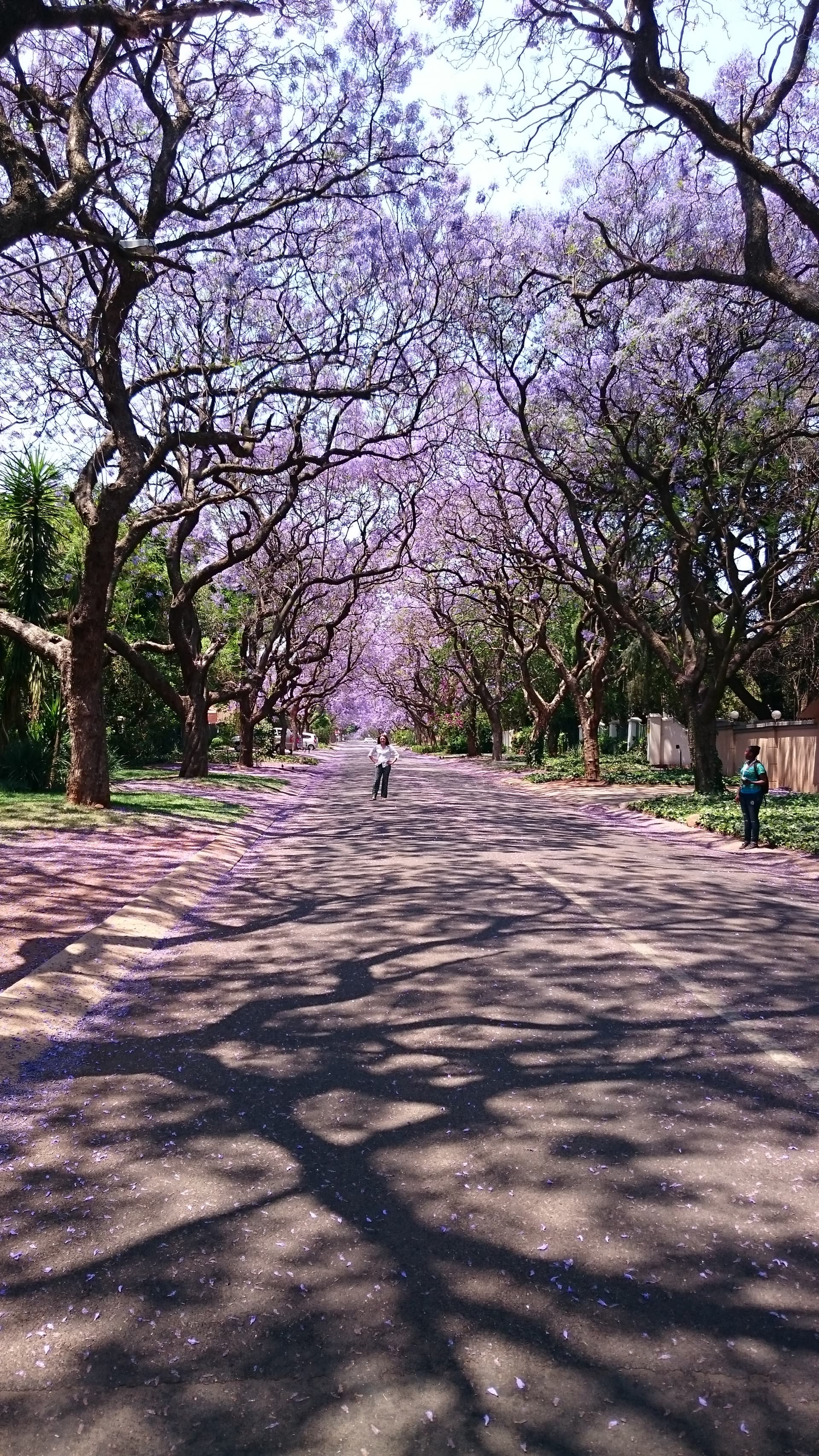 Excursión por la ciudad de Pretoria - en Español