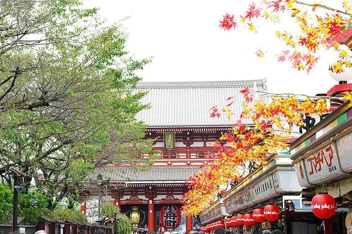 Private Tokyo Full-Day Tour by Chartered Vehicle