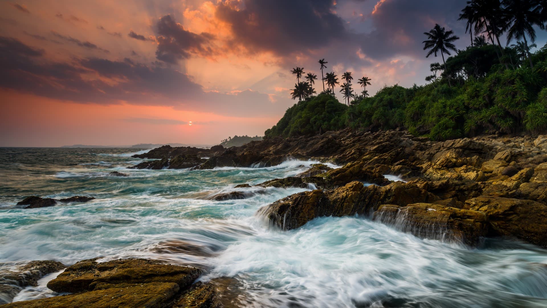 CEYLON BEACH & SAFARI EXPERIENCE 