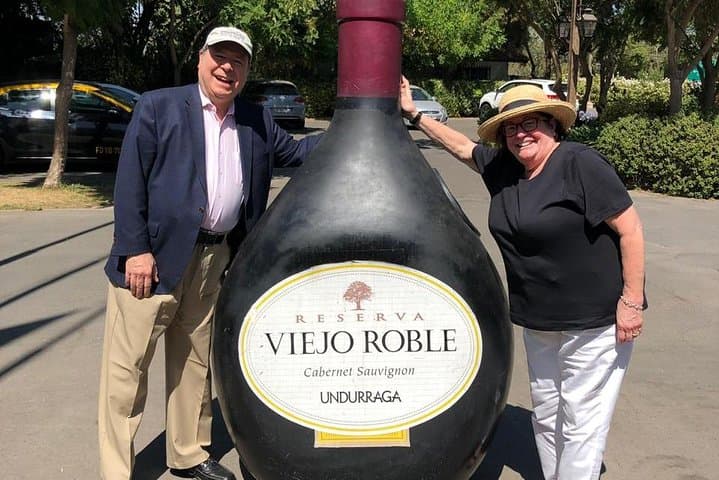 Half-Day Small Group Undurraga Vineyard Tour