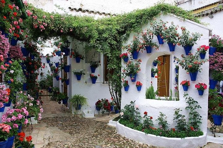 Patios & Perfumes Cordoba Festival Tour