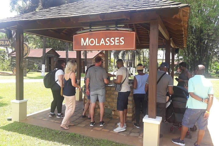 Private Appleton YS Falls and Black River Tour from Montego Bay