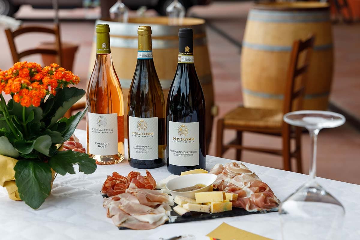 Winery Tour and Tasting of Garda Wines