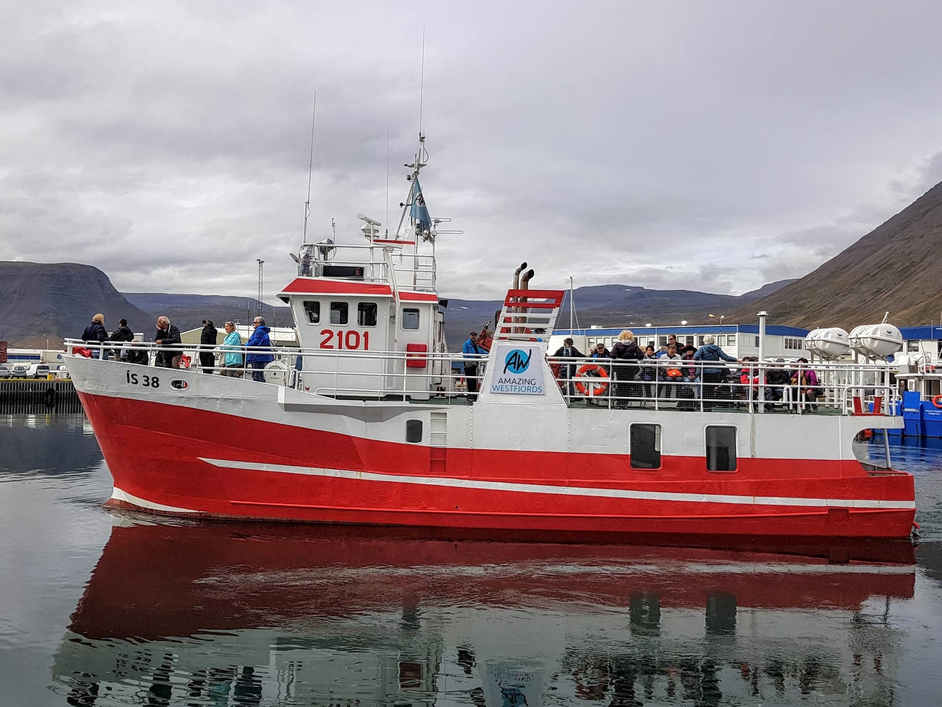 Amazing Westfjord´s - Nature tour in Ísafjarðardjúp bay