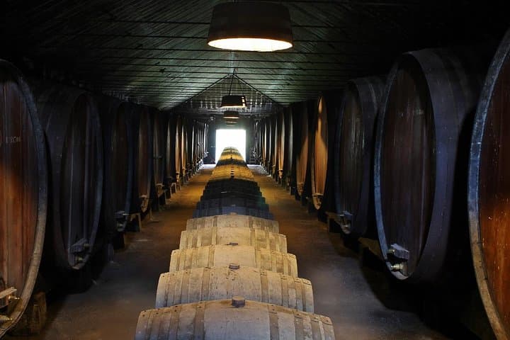 Discover the Wines of Setúbal: A Private Wine Adventure from Lisbon
