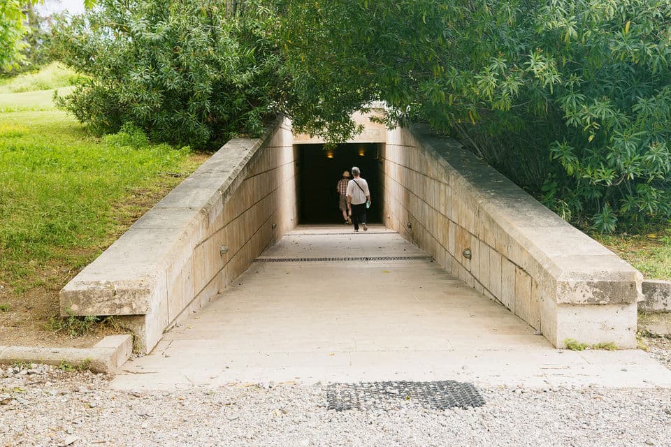 Vergina & Pella Guided Tour from Thessaloniki