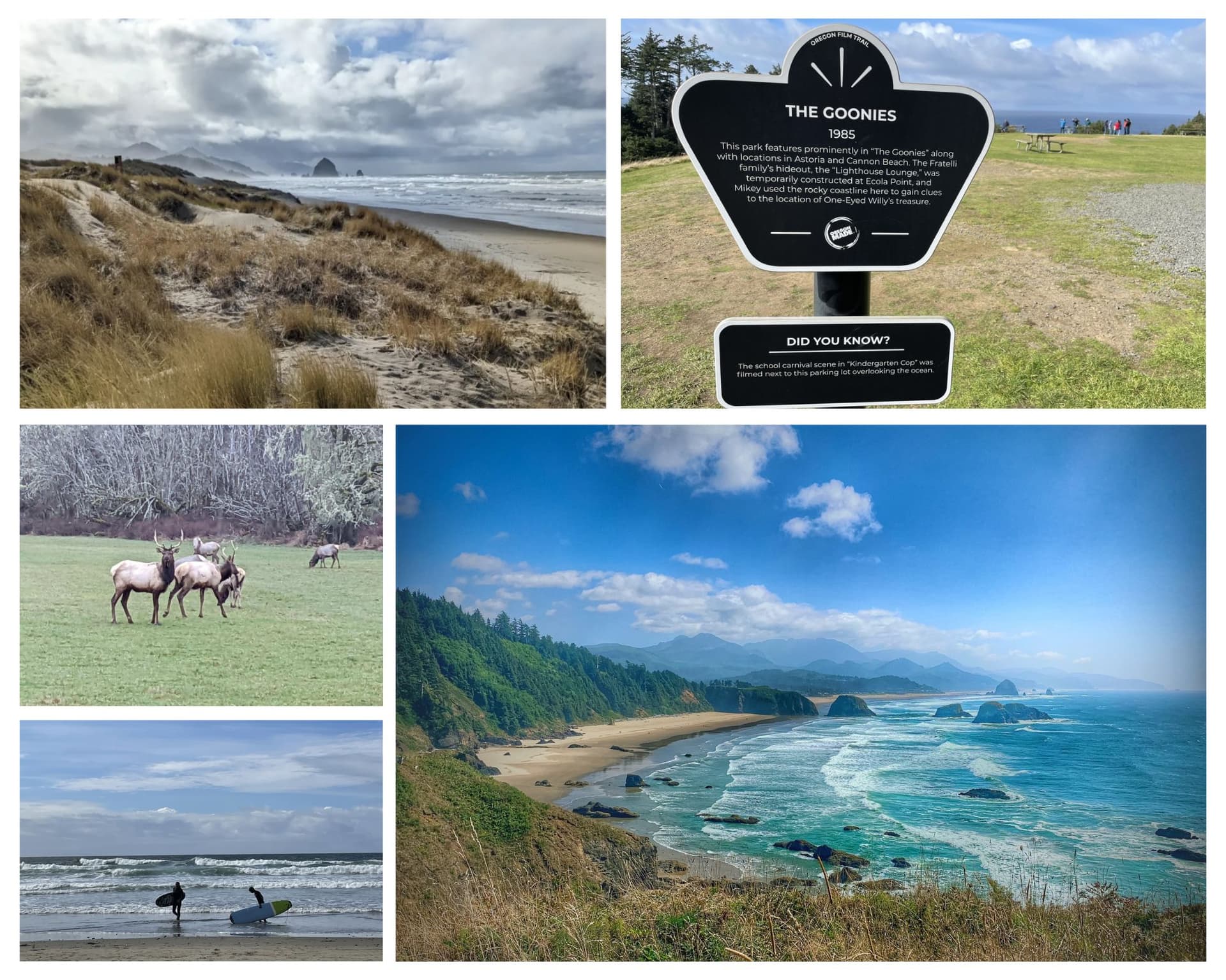Oregon Coast Day Trip to Cannon Beach and Haystack Rock from Portland