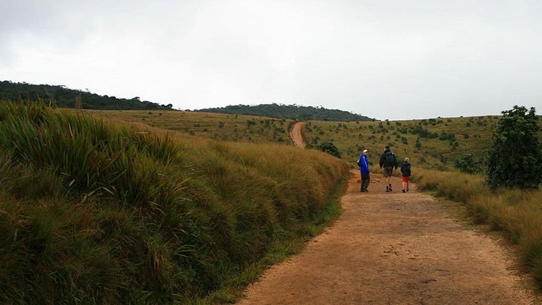 Things to do in Sri Lanka