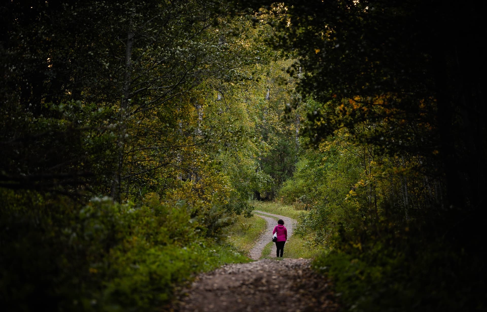 Redrib Helsinki Experience II