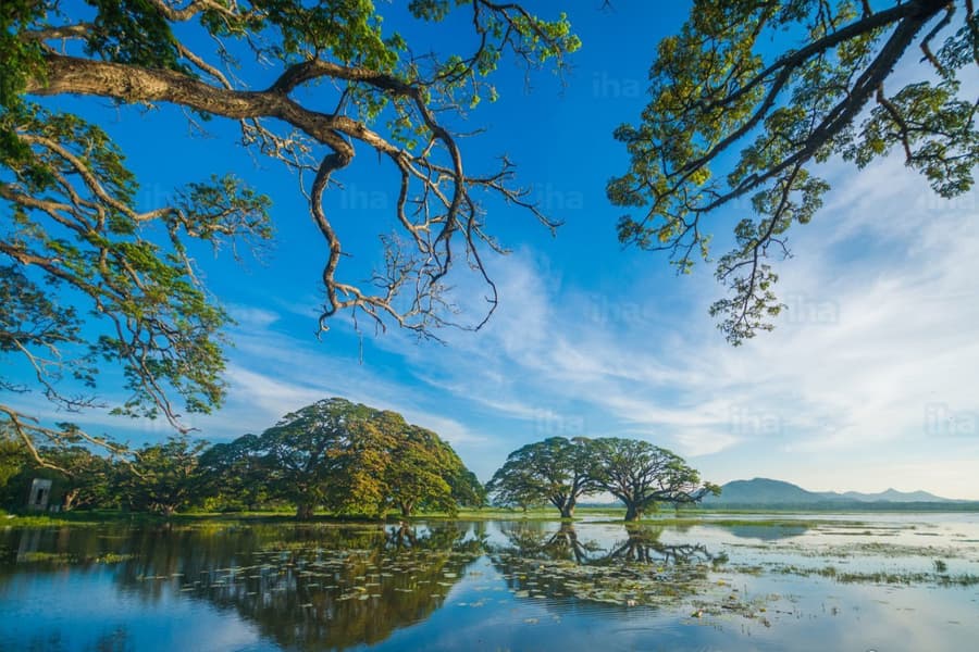 07 Day Nature & Wildlife Tour In Sri Lanka