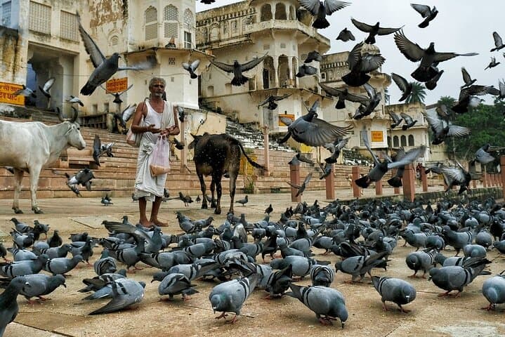 A Day Trip of Pushkar From Jaipur & Back
