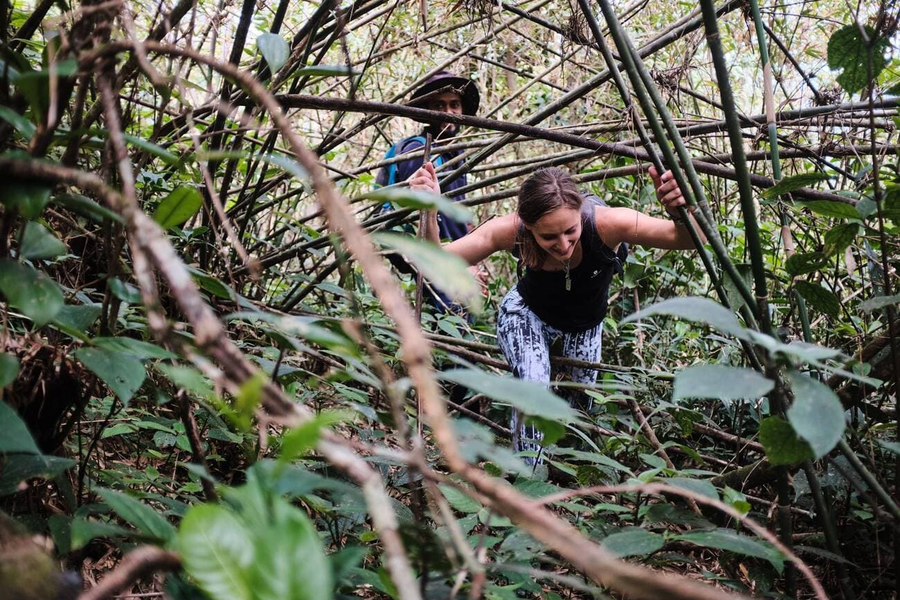 Trekking to Knuckles Range