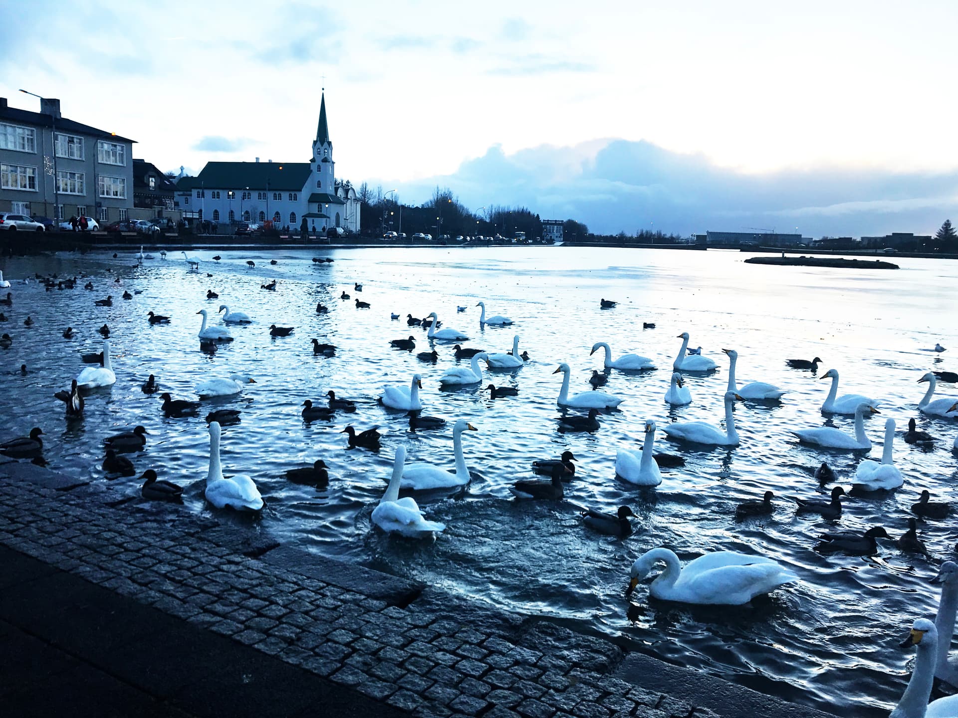 Reykjavik Highlights Tour in a Private SUV