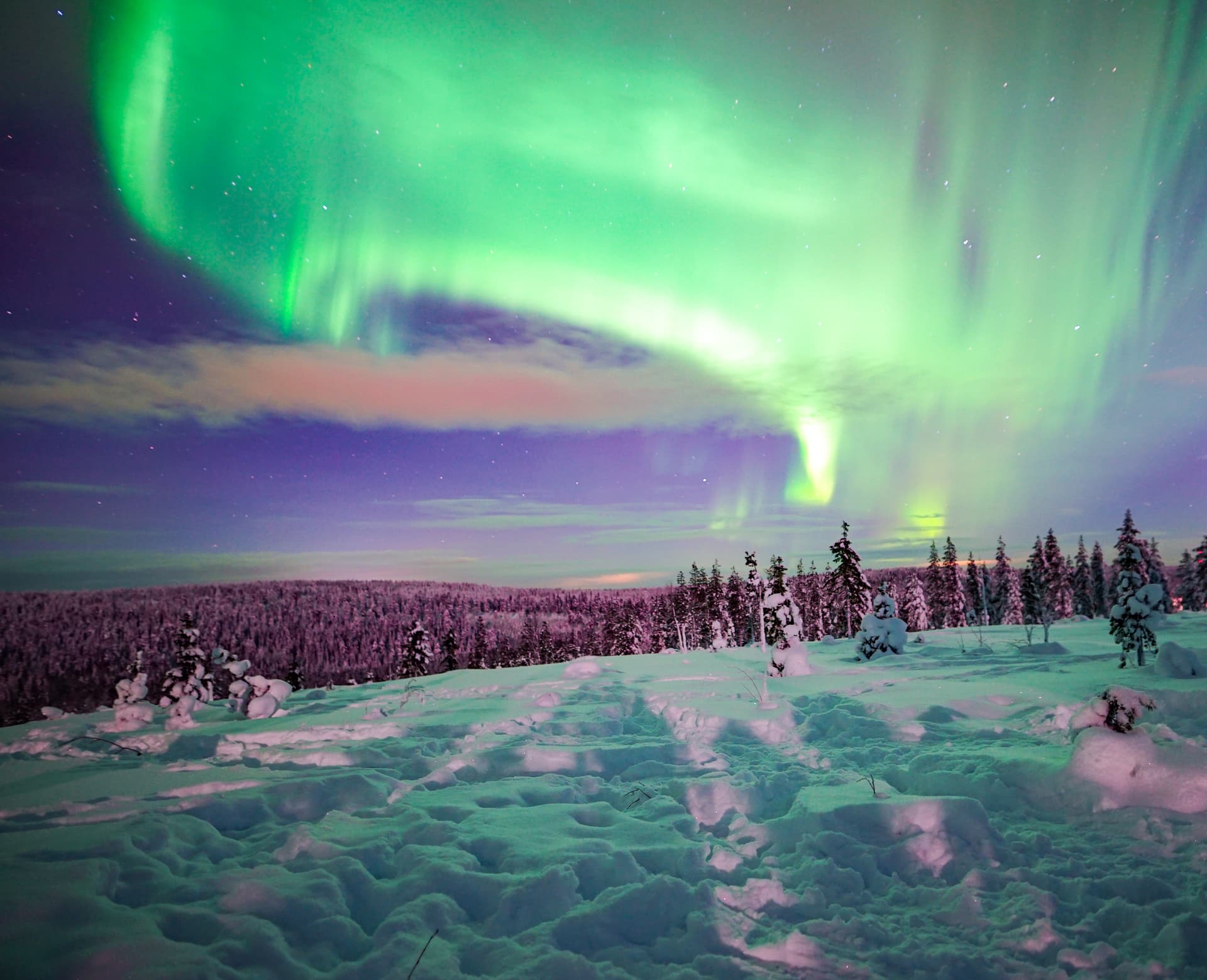 Holiday Package: Aurora Hunter Package