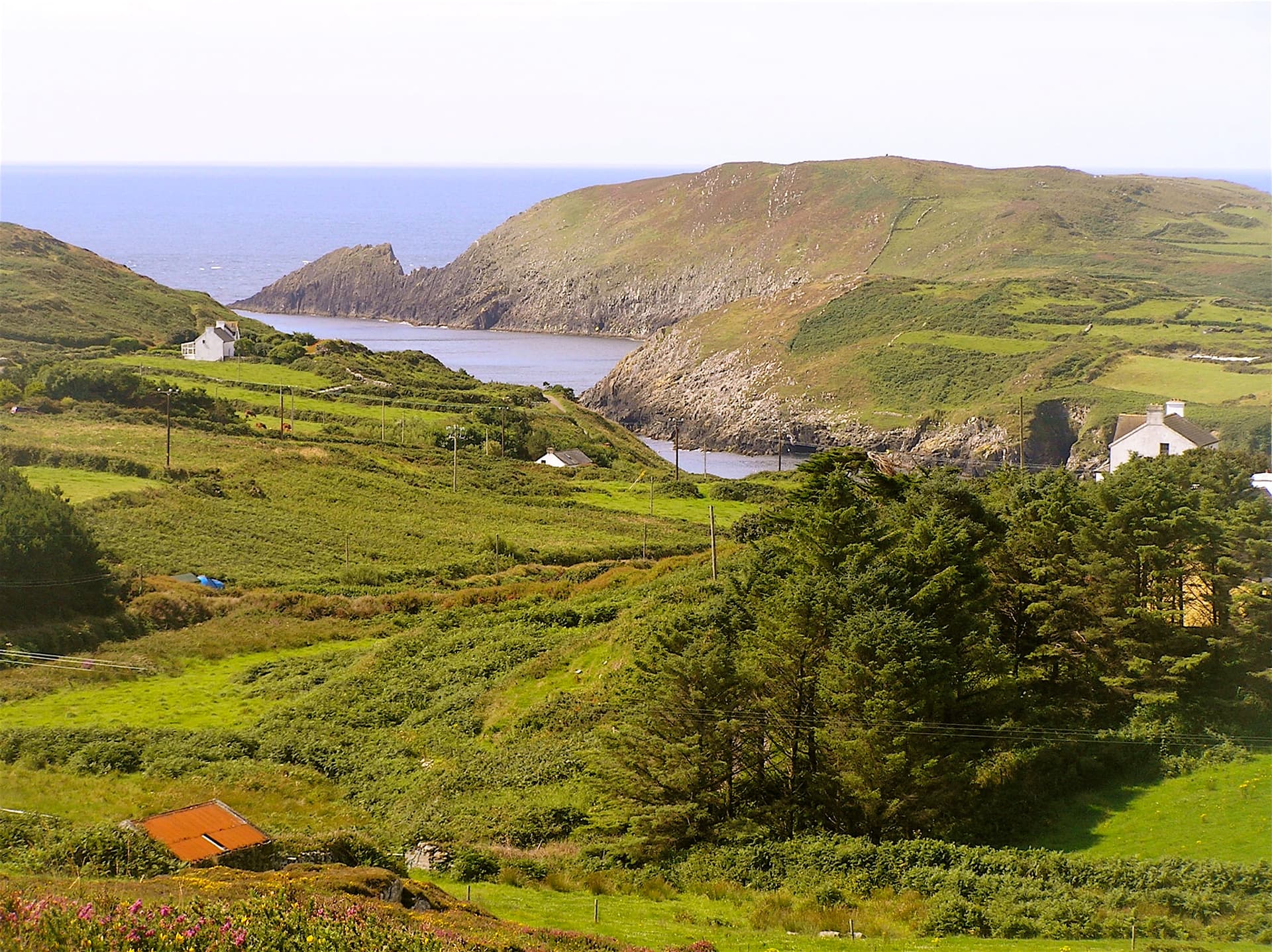 Explore Cape Clear Island Departing Schull. West Cork. Self-guided.