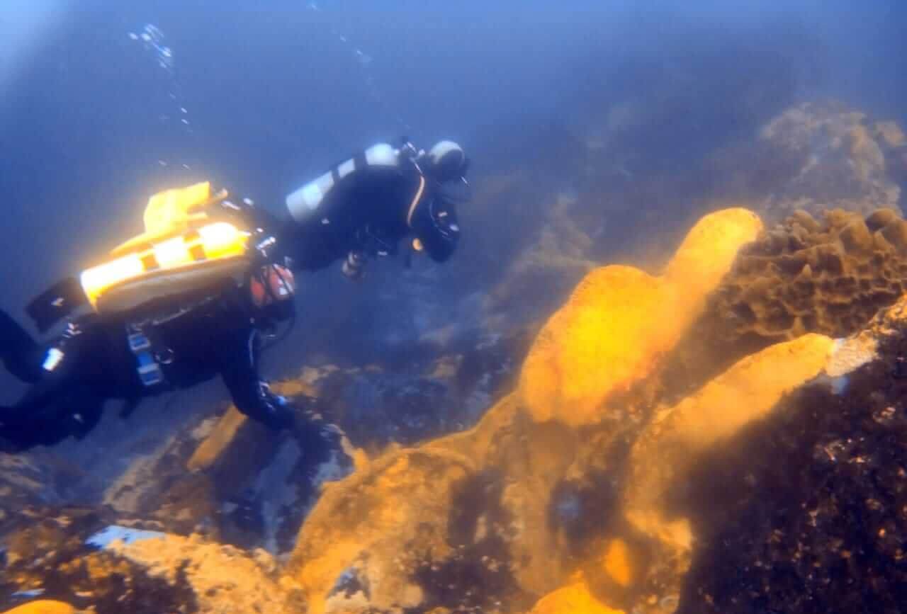 Private Full Day Scuba Diving and Wine Tour From Santiago