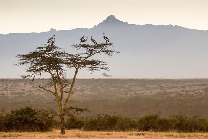 5 Day Hiking Adventure Mt Kenya Via Sirimon Route