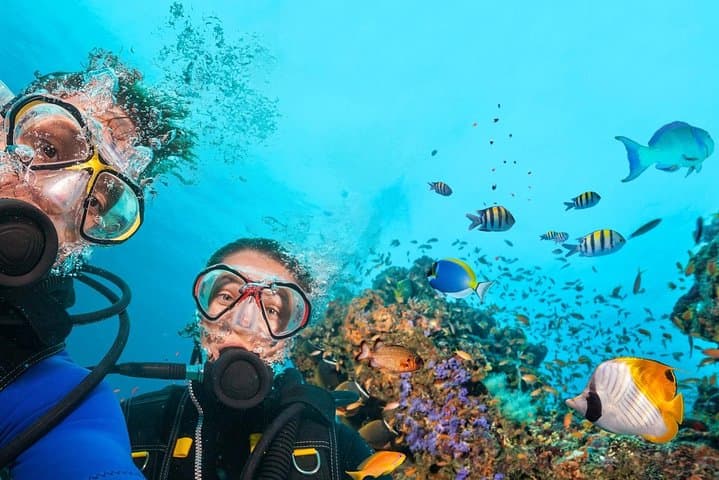 Kemer Scuba Diving with transfer from Antalya