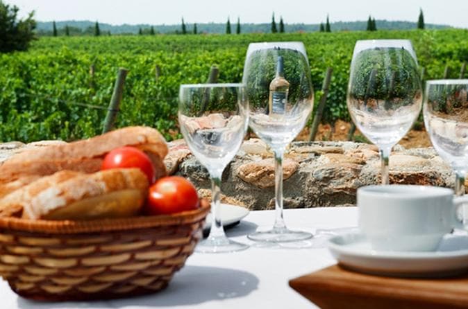 Half-Day Small-Group Wine Tasting and Brunch Tour from Girona