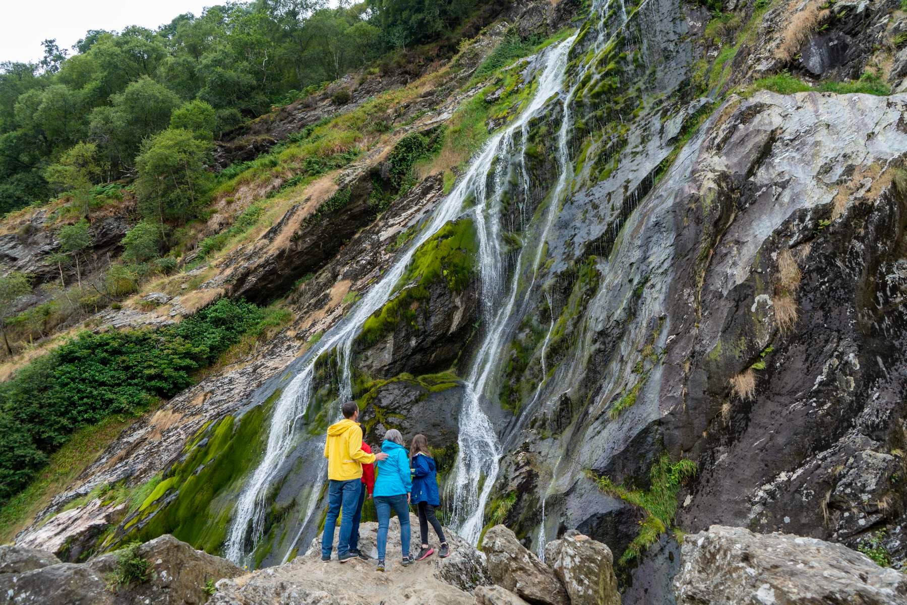 Wicklow & Glendalough with Sheep Farm Visit
