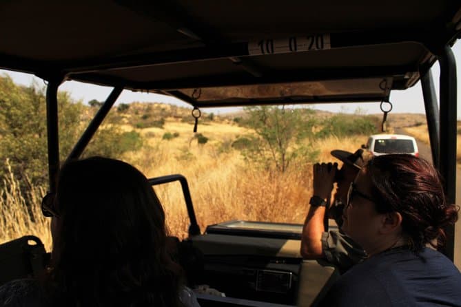 Full-Day Pilanesburg Nature Reserve Tour