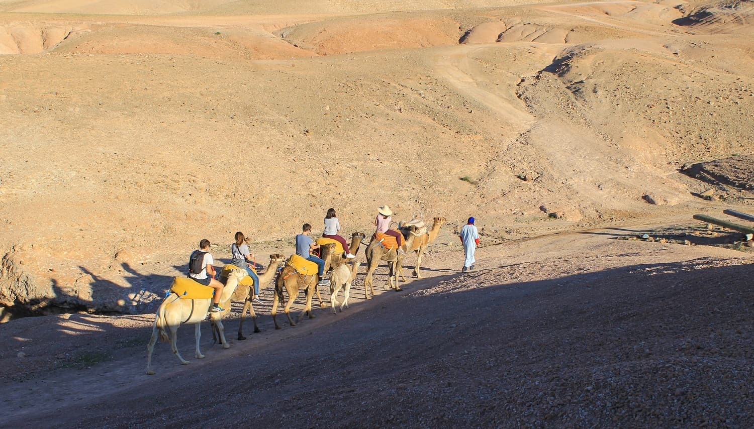 Quad & Camel Ride in Agafay Desert