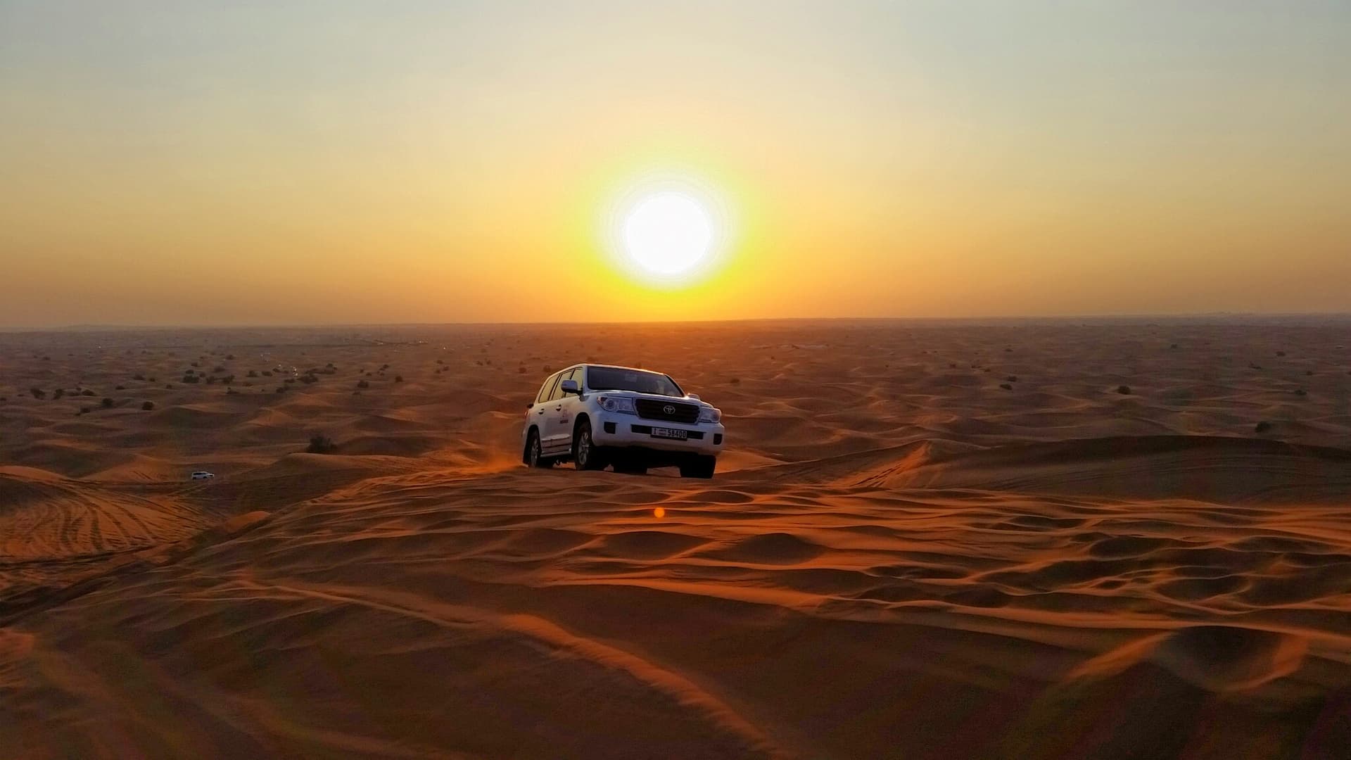 4-Hour Morning Desert Safari Tour from Dubai