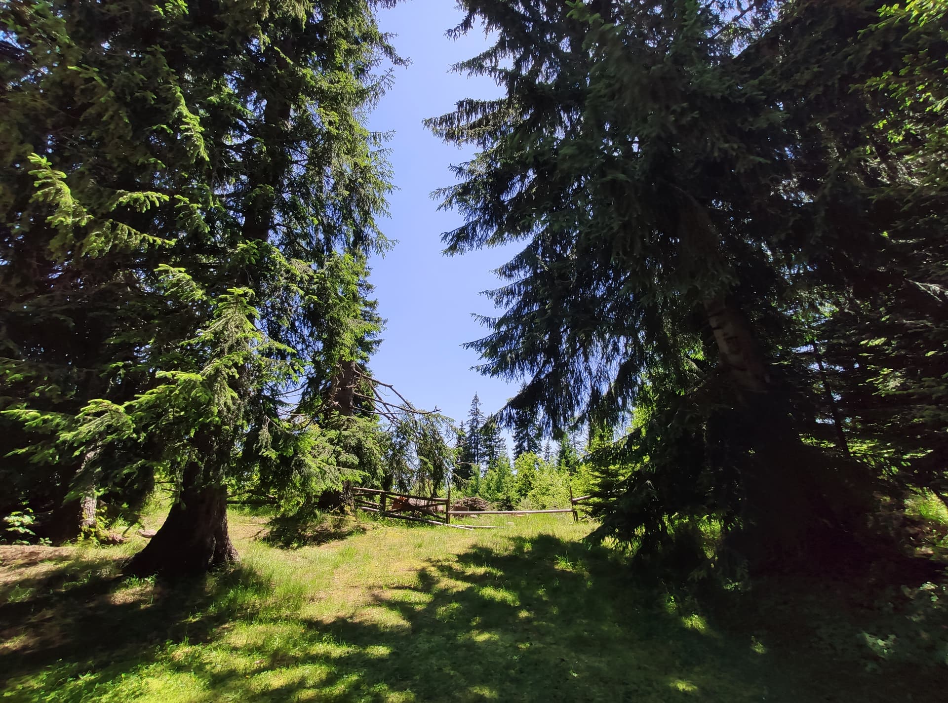 Local Adventures in the Rhodope Mountains