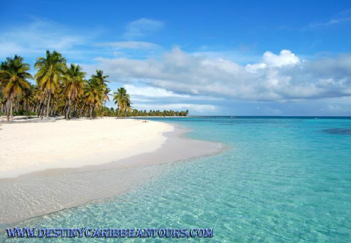 Saona Island VIP - Full Day Excursion!