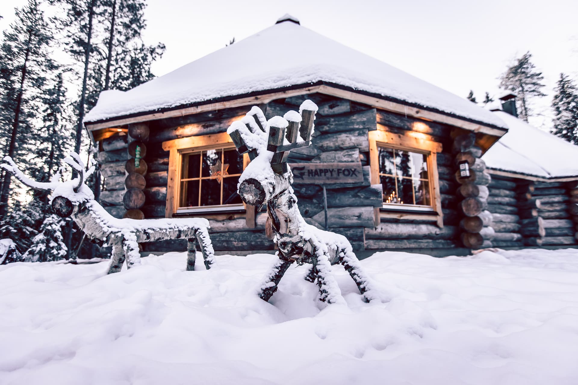 Luxury Log Sauna and Finnish Dinner, 3 hours (Private Tour)