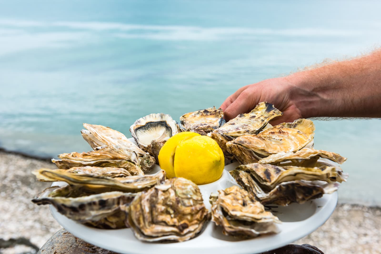 France Oysters and Wine Tour