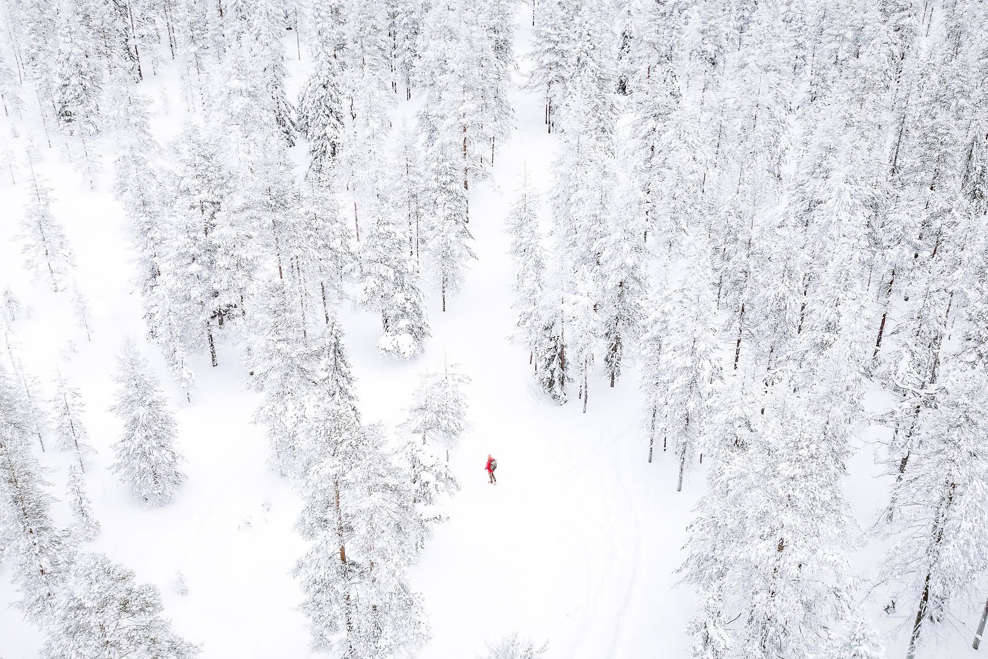 Holiday Package: Four White Days in Lapland