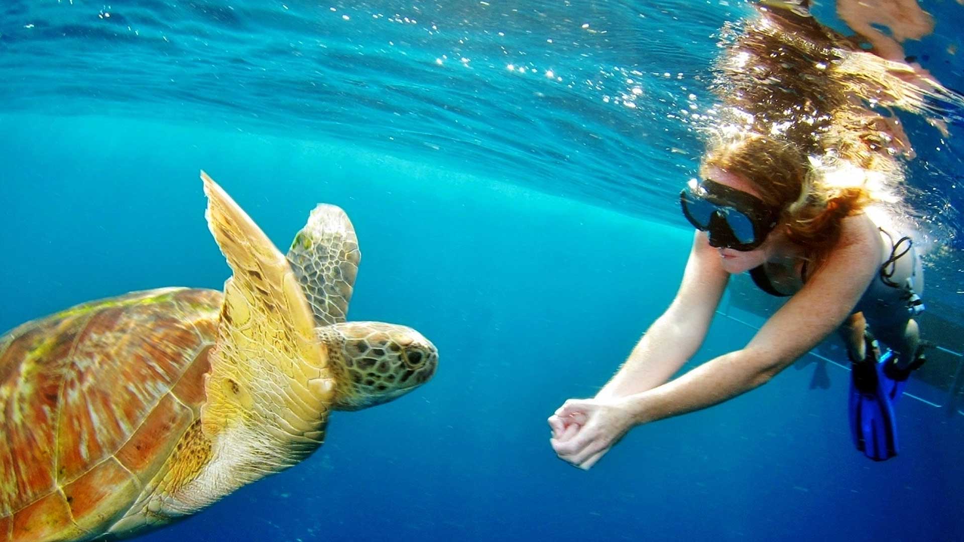 Surin Islands by Speedboat from Khao Lak