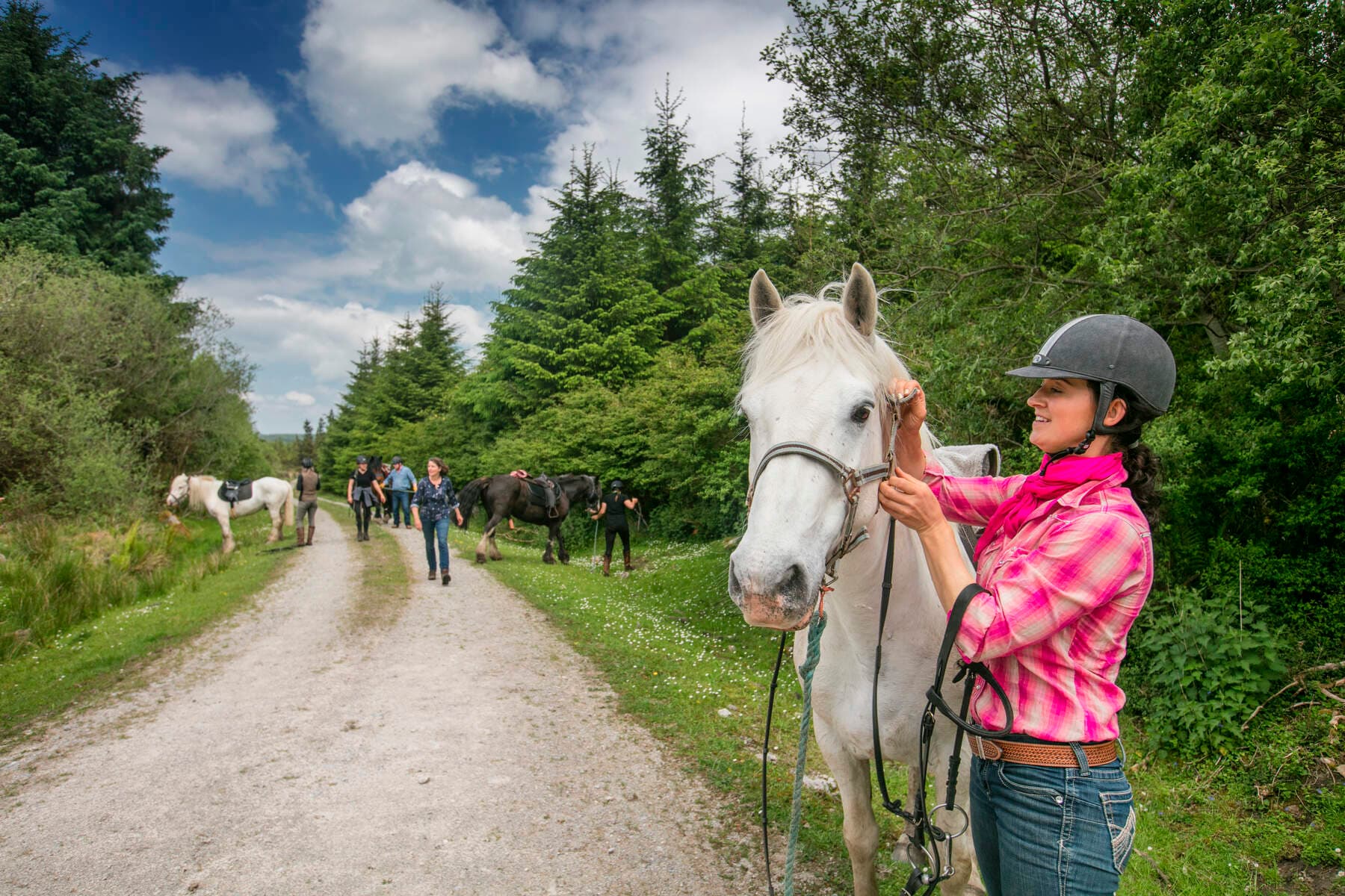 Horse riding the Burren dirt trail. Clare. Guided. 1 hour