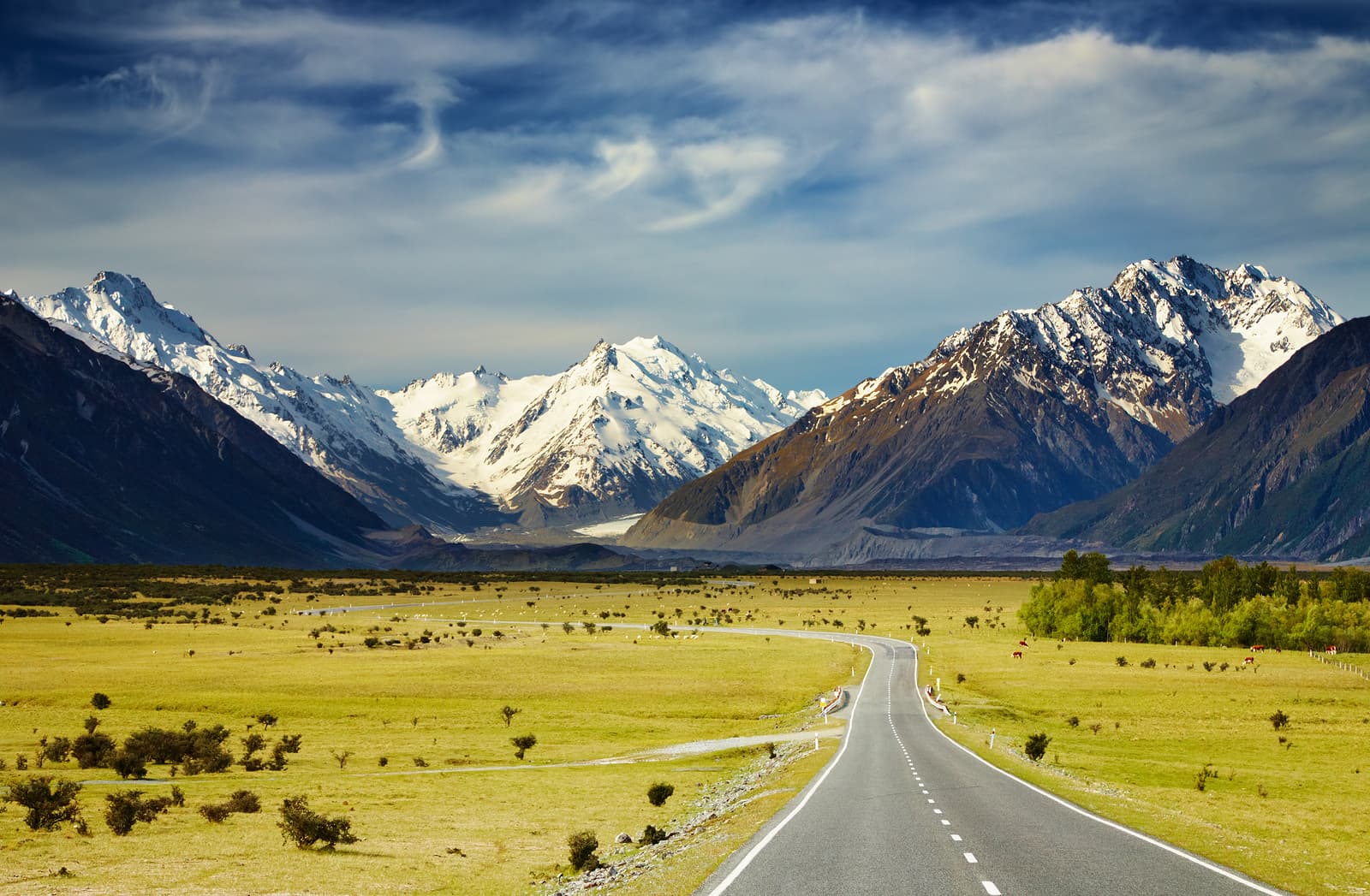 Australia and New Zealand Tour