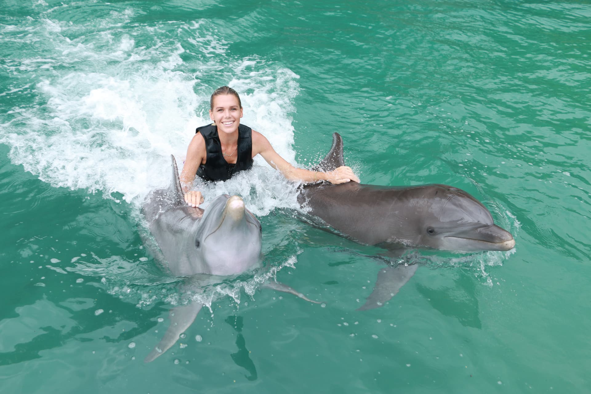 Dolphin Royal Swim at Dolphin Discovery Grand Cayman